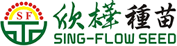 singflow seed logo